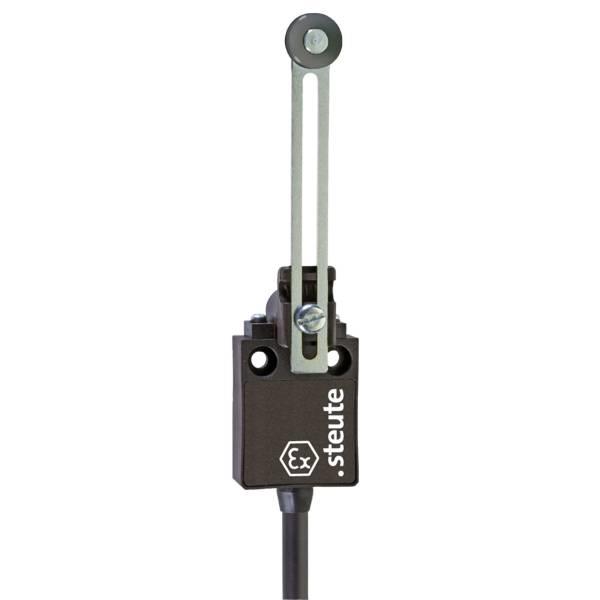 1045197 Steute 13029904 Adjustable rocking lever DS Ex 13 DS 10m IP65 (1NC/1NO) II 2G Ex d IIC T6